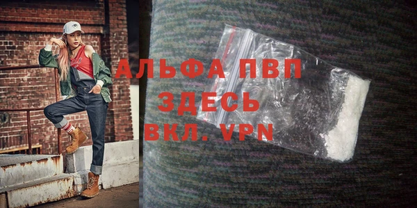 крисы Новозыбков