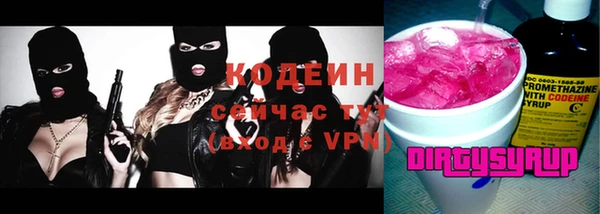 крисы Новозыбков