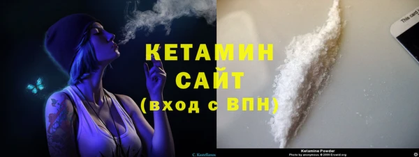 крисы Новозыбков