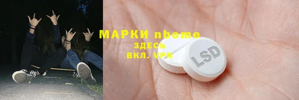крисы Новозыбков
