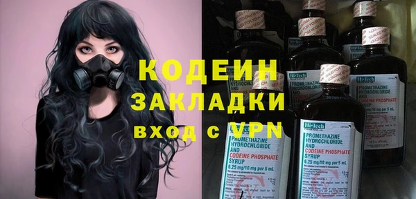 крисы Новозыбков