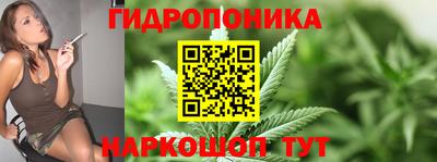 дмт Кимры