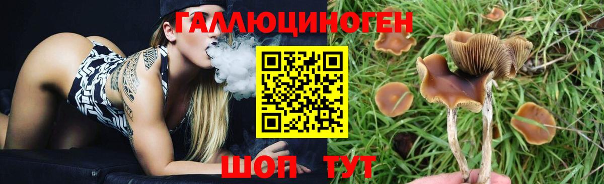 где продают наркотики  Галлюциногенные грибы ЛСД  Вход с VPN  Торжок 