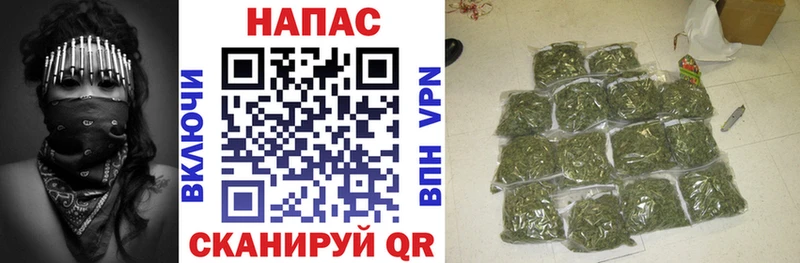 Конопля планчик Торжок